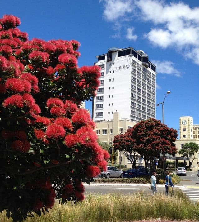 Bay Plaza Hotel