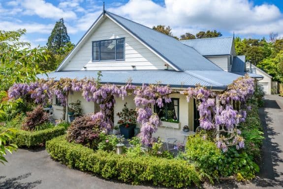 The Olive Rabbit Boutique B&B